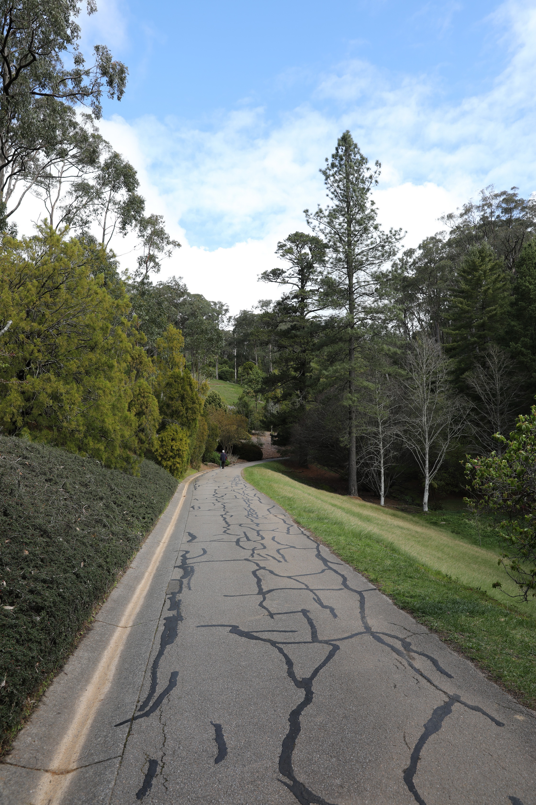 2019 09 21 14 39 38 Canon EOS 5D Mark IV 0002